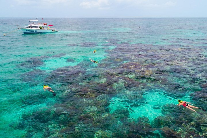 Key Largo Snorkeling Tour with Mask plus Fins and Vest Included - Photo 1 of 8